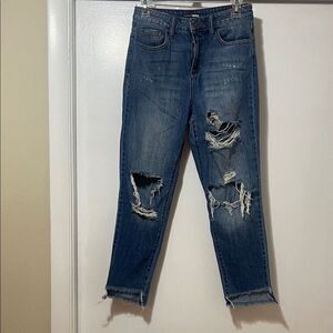 Passover, distressed ankle, warm jeans, size one